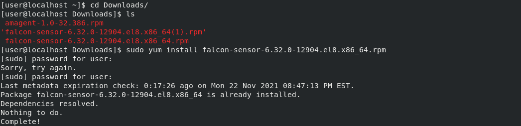 Crowdstrike_install.png